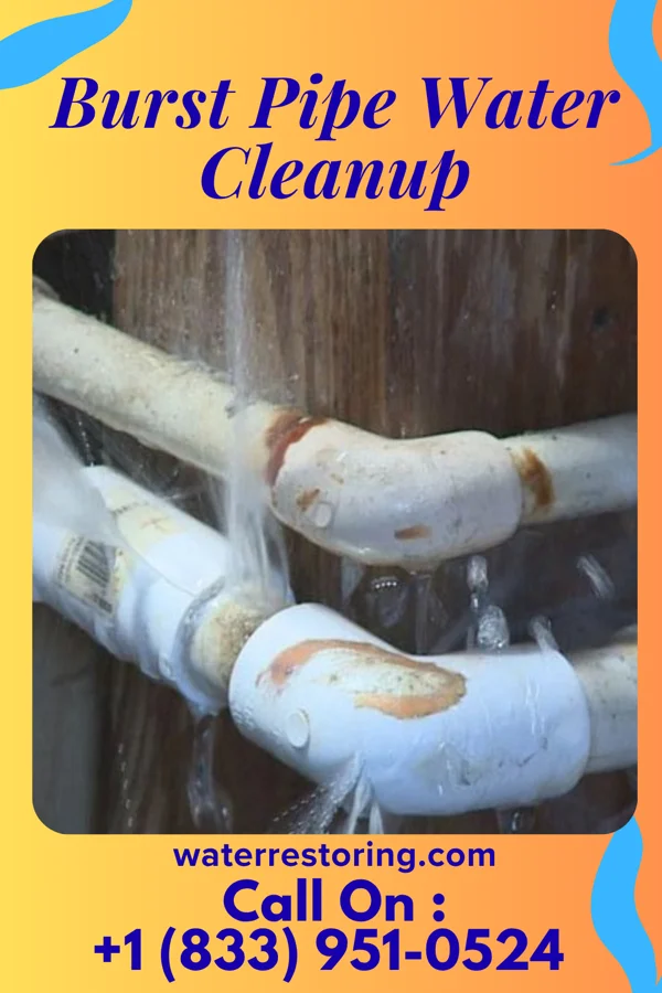 Burst Pipe Water Cleanup in Petersburg, TN