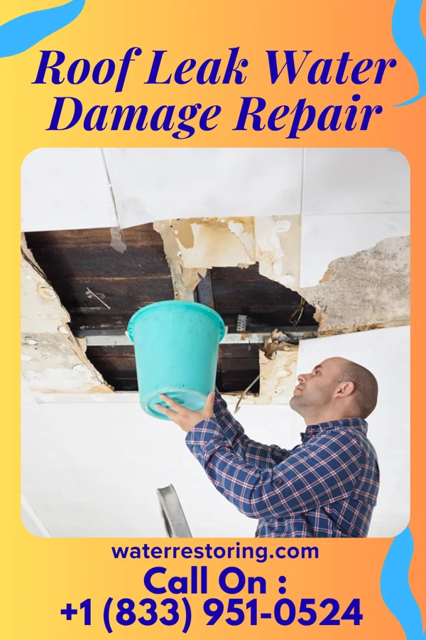 Roof Leak Water Damage Repair in Petersburg, TN