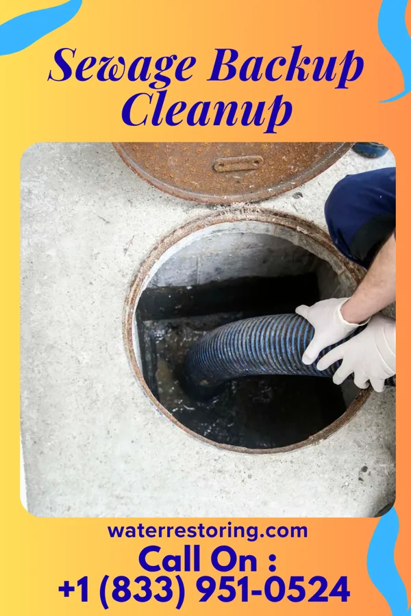 Sewage Backup Cleanup in Petersburg, TN
