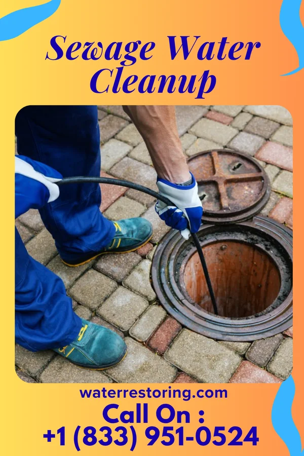 Sewage Water Cleanup in Petersburg, TN