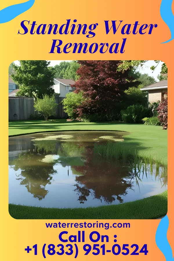 Standing Water Removal in Petersburg, TN